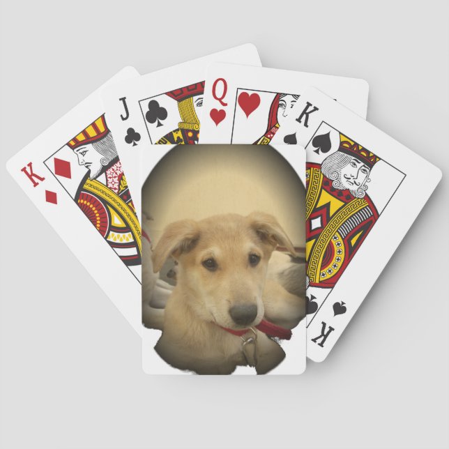 Jeu De Cartes Puppy Love : Le meilleur ami de l'homme (dos)