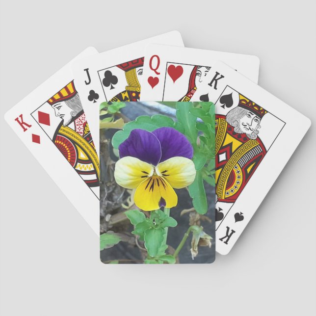Jeu De Cartes Purple et Yellow Pany (dos)