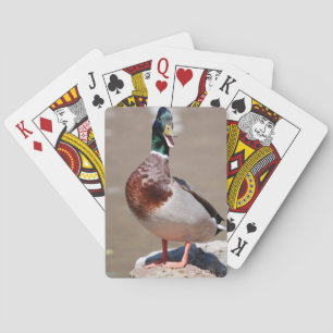 Jeu De Cartes Quitter Mallard Duck