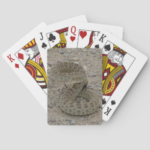 Jeu De Cartes R9 serpent à sonnette de prairie enroulé