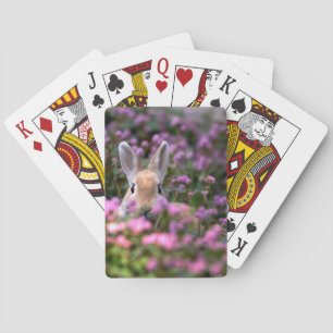 Jeu De Cartes Rabbit farm