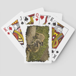 Jeu De Cartes Raccoon Famille White Edge