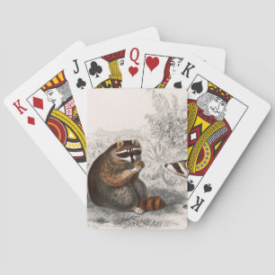 Jeu De Cartes Raccoon vintage illustré