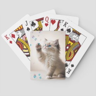 Jeu De Cartes Ragdoll Kitten Jouer Avec Des Bulles