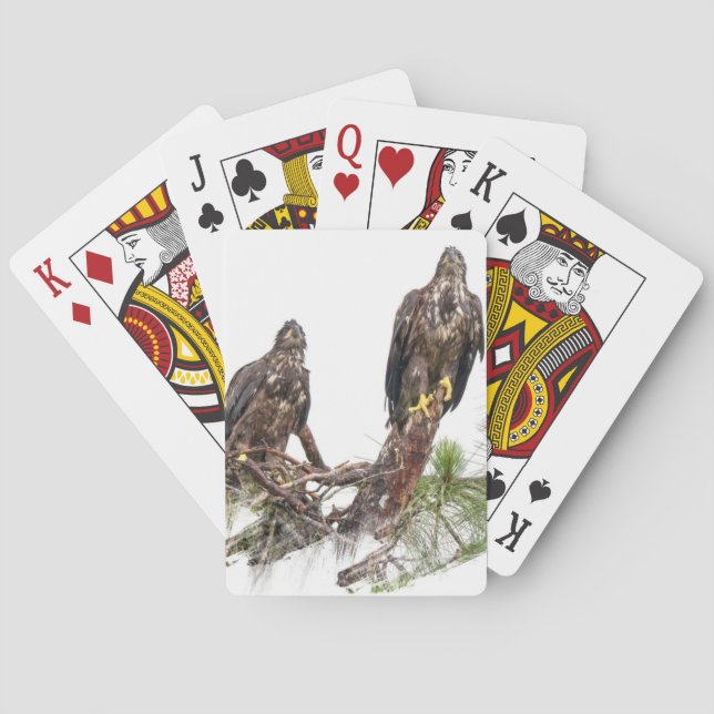 Jeu De Cartes Rappel des cartes de jeu E15 et E16 (dos)