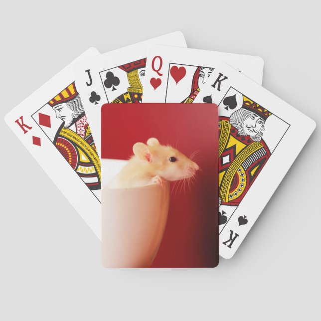 Jeu De Cartes Rat de bébé (dos)