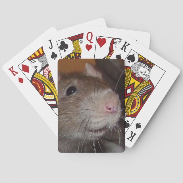Jeu De Cartes rat de rire jouant aux cartes (dos)