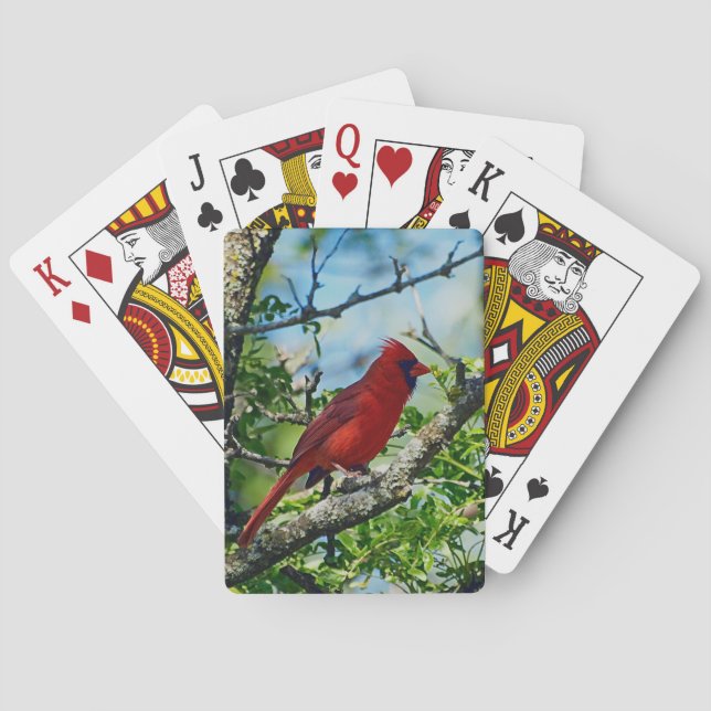Jeu De Cartes Red Cardinal Wild Bird (dos)