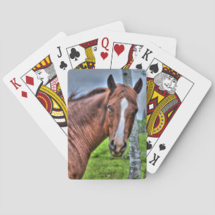 Jeu De Cartes Red Dun Ranch Horse Mare Animal-lover Photo