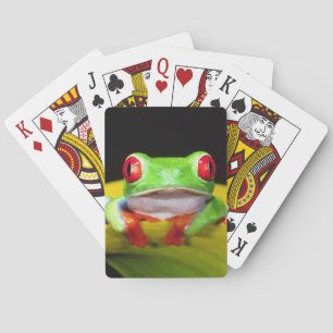 Jeu De Cartes Red Eye Treefrog, callidryas d'Agalychinis,