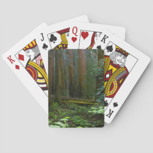 Jeu De Cartes Redwoods Dans Le Parc National De Muir Woods