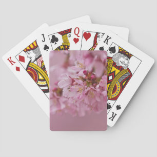 Jeu De Cartes Reflets Rose Pâle des Fleurs de Cerisier Sakura