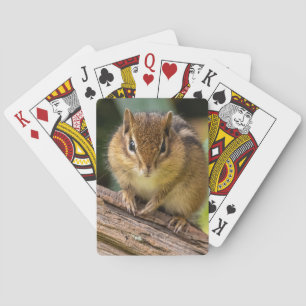 Jeu De Cartes Regard d'un tamia