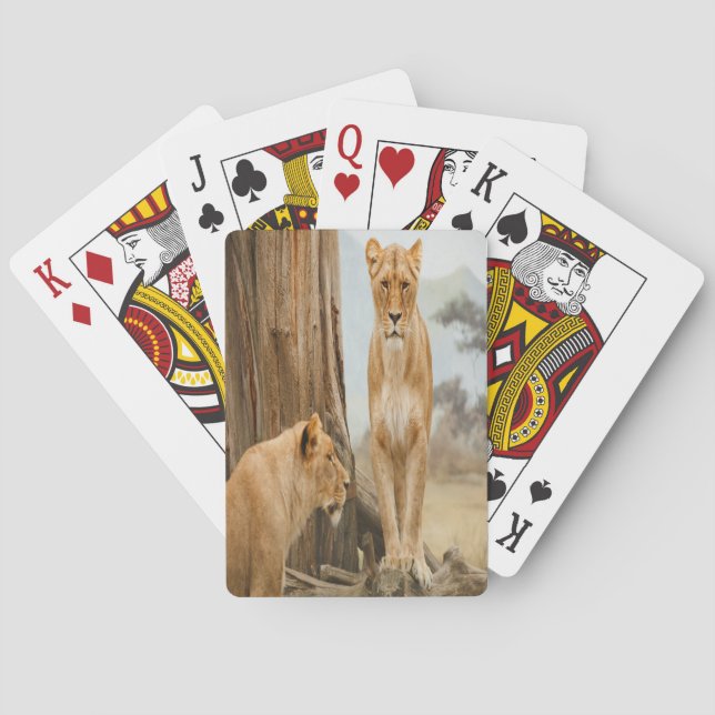 Jeu De Cartes Règles de responsabilité (dos)
