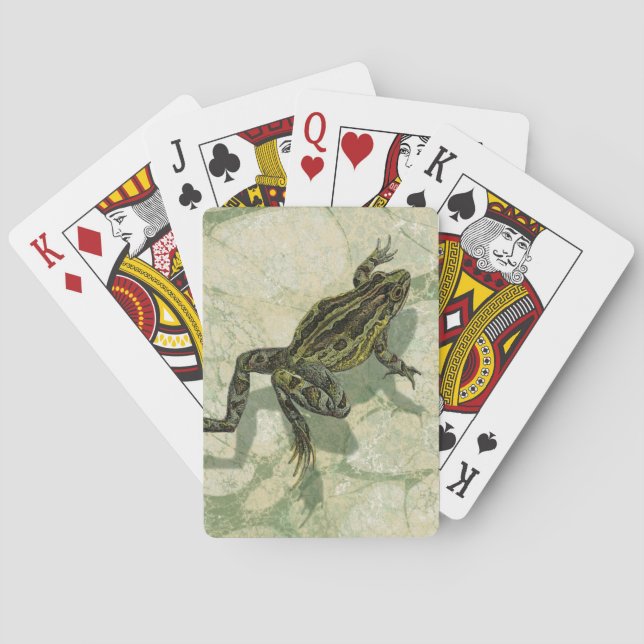 Jeu De Cartes Remonter le crapaud dans l'eau (dos)