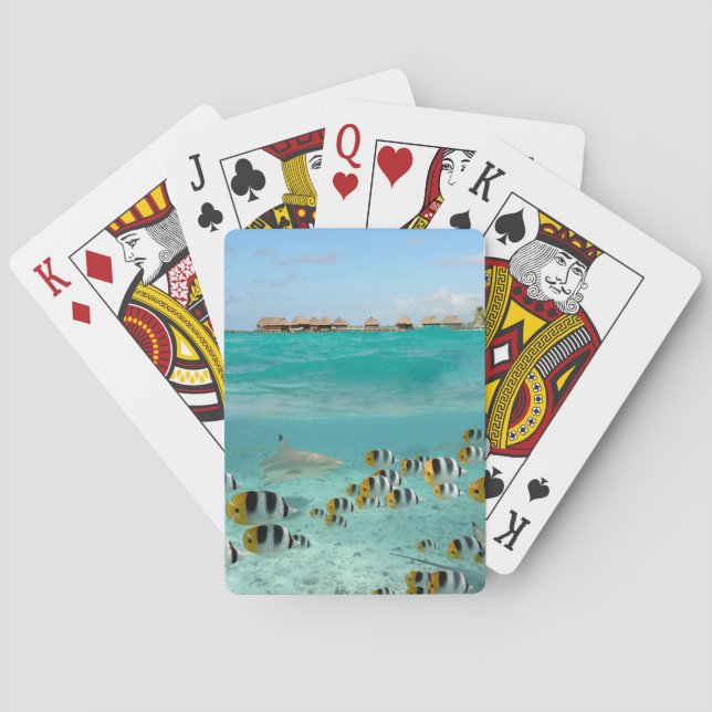 Jeu De Cartes Requin chassant le paquet de cartes de jeu de (dos)