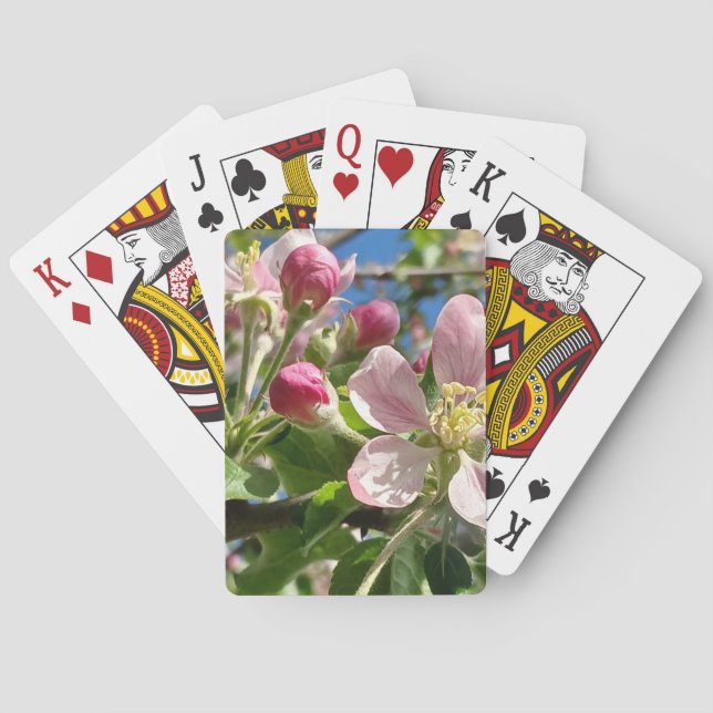 Jeu De Cartes Ressort des fleurs de pomme (dos)
