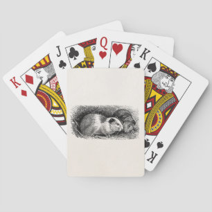 Jeu De Cartes Rétros Cavies de 1800s d'illustration vintage de