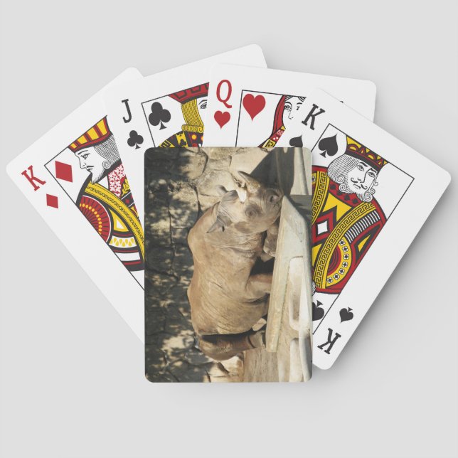Jeu De Cartes Rhino couché (dos)