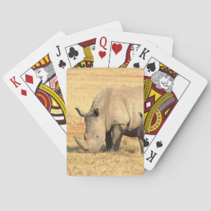 Jeu De Cartes rhinocéros mignons en afrique