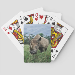 Jeu De Cartes Rhinocéros noir   Kenya