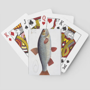Jeu De Cartes Roach (Cyprinus Rutilis) plate II from 'Ichthyolog
