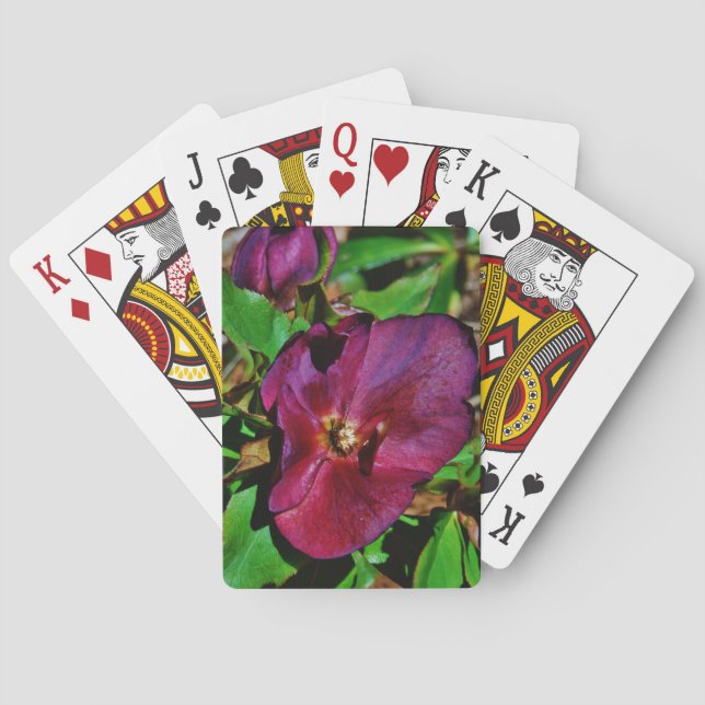 Jeu De Cartes Rose de carême rose Bourgogne (dos)