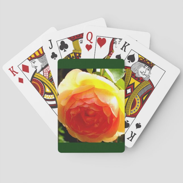 Jeu De Cartes Rose jaune (dos)