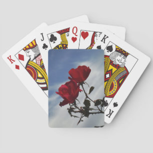 Jeu De Cartes Roses rouges contre un ciel bleu vif