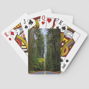 Jeu De Cartes Route directe à travers la forêt de séquoias