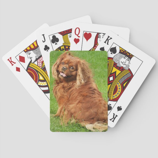 Jeu De Cartes Ruby Cavalier King Charles Spaniel (dos)