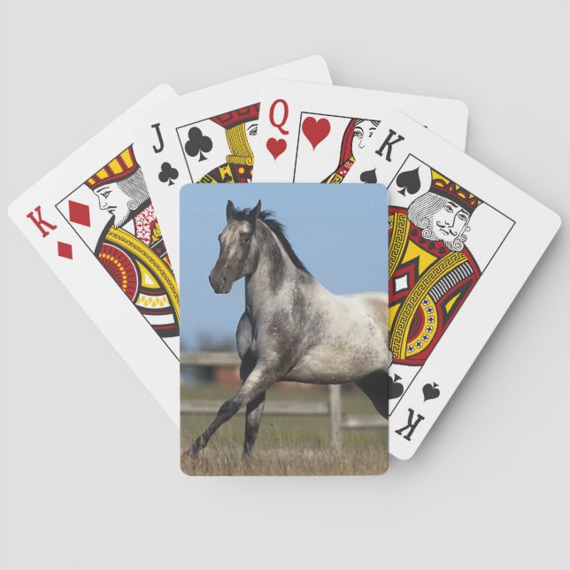 Jeu De Cartes Running 3 (dos)