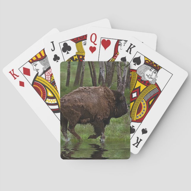 Jeu De Cartes Running Buffalo & Forest, Bison-lover's Design (dos)