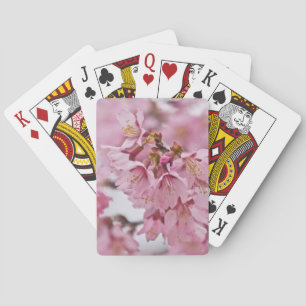 Jeu De Cartes Sakura Cherry Blossoms rose pâle