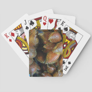 Jeu De Cartes Salak [Fruit de serpent]