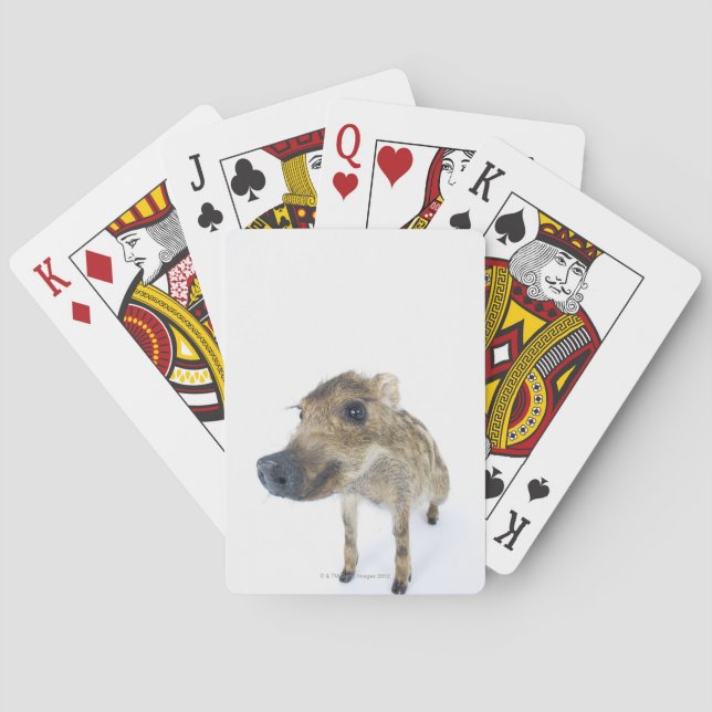 Jeu De Cartes Sanglier (dos)