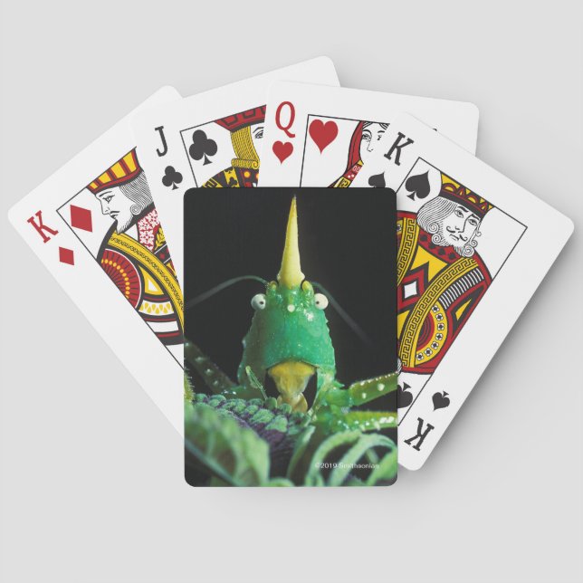 Jeu De Cartes Sauterelle Cône-Dirigée (dos)
