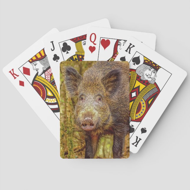 Jeu De Cartes Sauvage (dos)