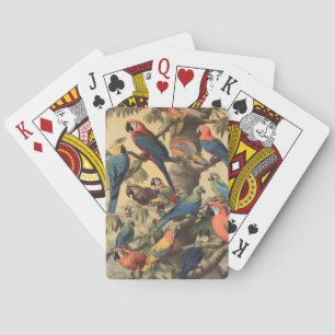 Jeu De Cartes Scène botanique vintage perroquets colorés dans un
