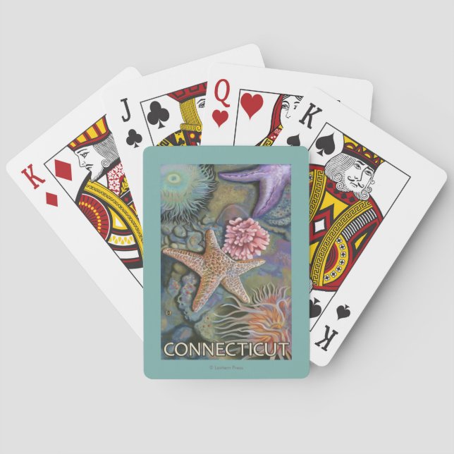 Jeu De Cartes Scène de ConnecticutTidepool (dos)