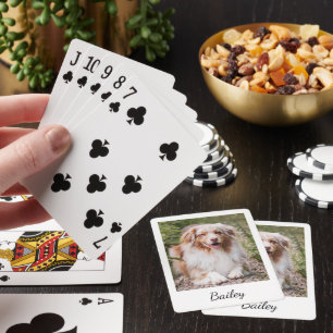 Jeu De Cartes Script de photo et de nom de animal de compagnie p