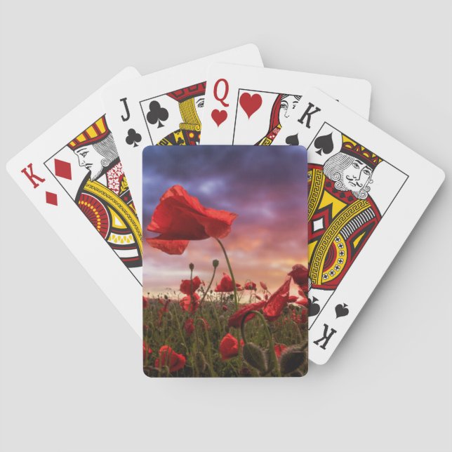 Jeu De Cartes Se rappeler le champ de | des pavots (dos)