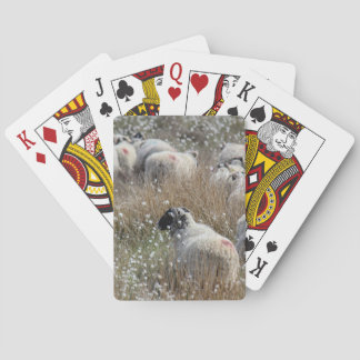 Jeu De Cartes Semelles de vente en pelouse de coton dans le Nort