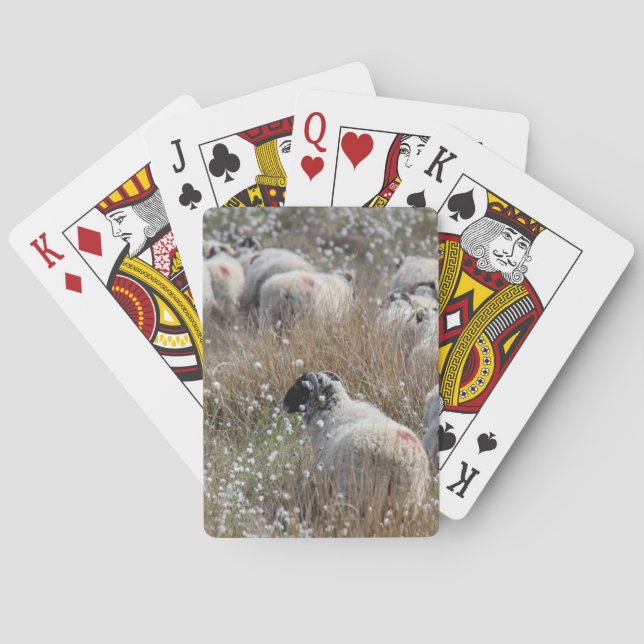Jeu De Cartes Semelles de vente en pelouse de coton dans le Nort (dos)