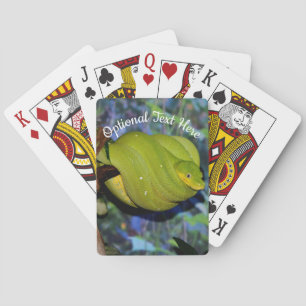 Jeu De Cartes Serpent de Boa Emerald Tree