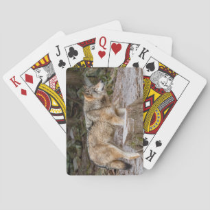 Jeu De Cartes Set de table du loup de bois