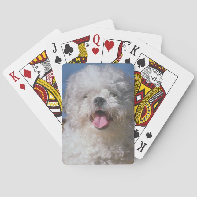 Jeu De Cartes Shaggy Poodle Chien Jouer Des Cartes (dos)