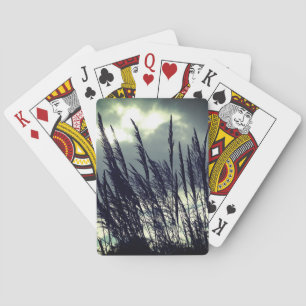 Jeu De Cartes Silence Nature Photographie