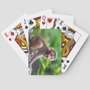 Jeu De Cartes Singe Bébé mignon et adorable