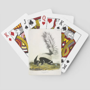 Jeu De Cartes Skunk à capuchon ou Skunk à grande queue d'Audubon